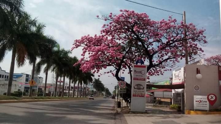 Hotel Riviera Ciudad Valles Buitenkant foto